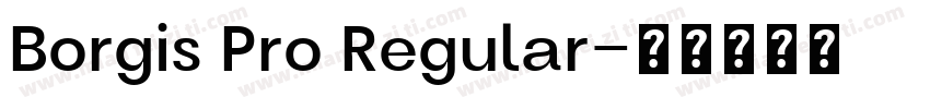 Borgis Pro Regular字体转换